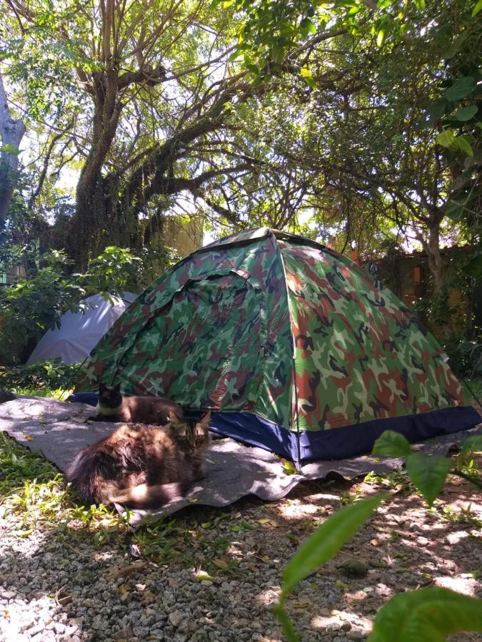 Ghaya Mini Camping Флоріанополіс Екстер'єр фото