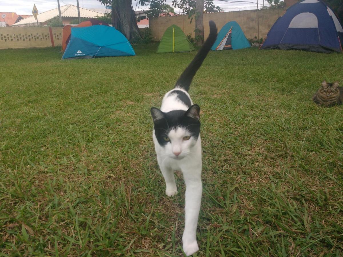 Ghaya Mini Camping Флоріанополіс Екстер'єр фото